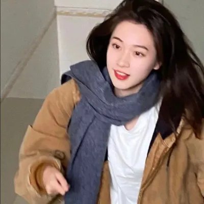 护花大臣封面