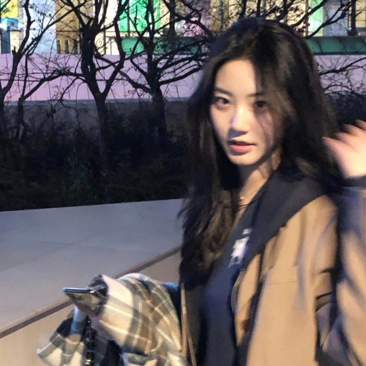 食人鱼事件焦点封面